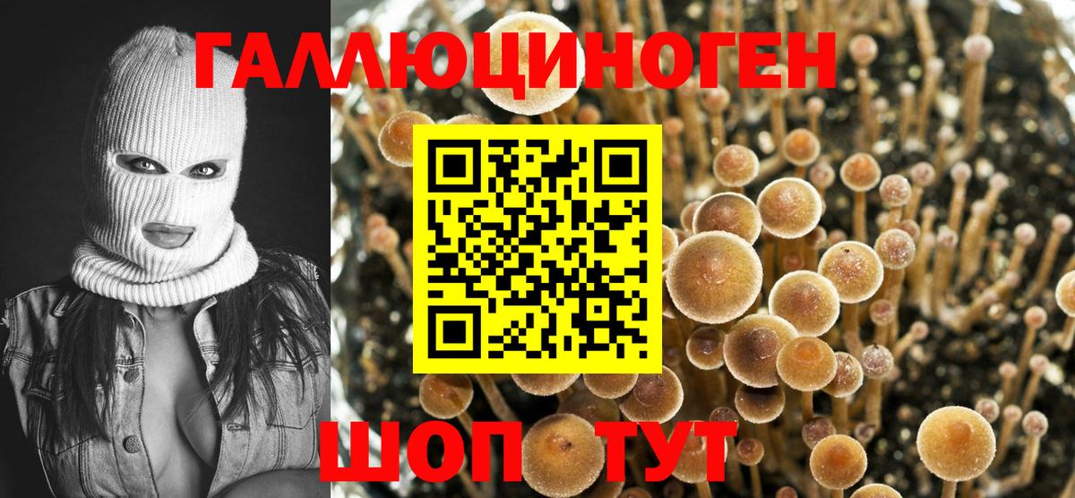 Углич  Галлюциногенные грибы MAGIC MUSHROOMS  Галлюциногенные грибы GOLDEN TEACHER  Вход с VPN 